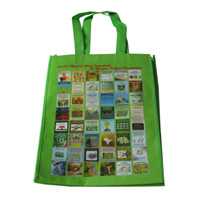 辽阳LB11覆膜无纺布广告袋